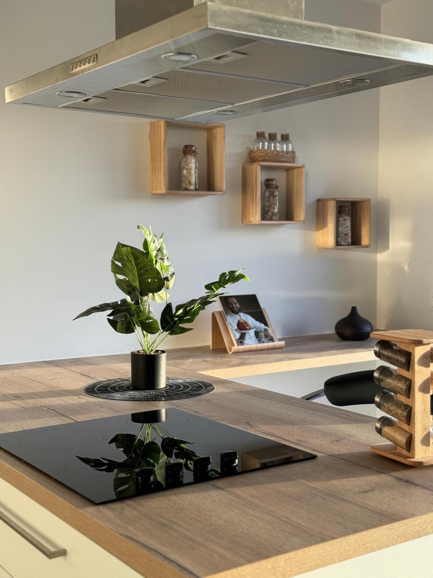圣尼古拉Liege Luxe & Jacuzzi Sous Les Etoiles公寓 外观 照片